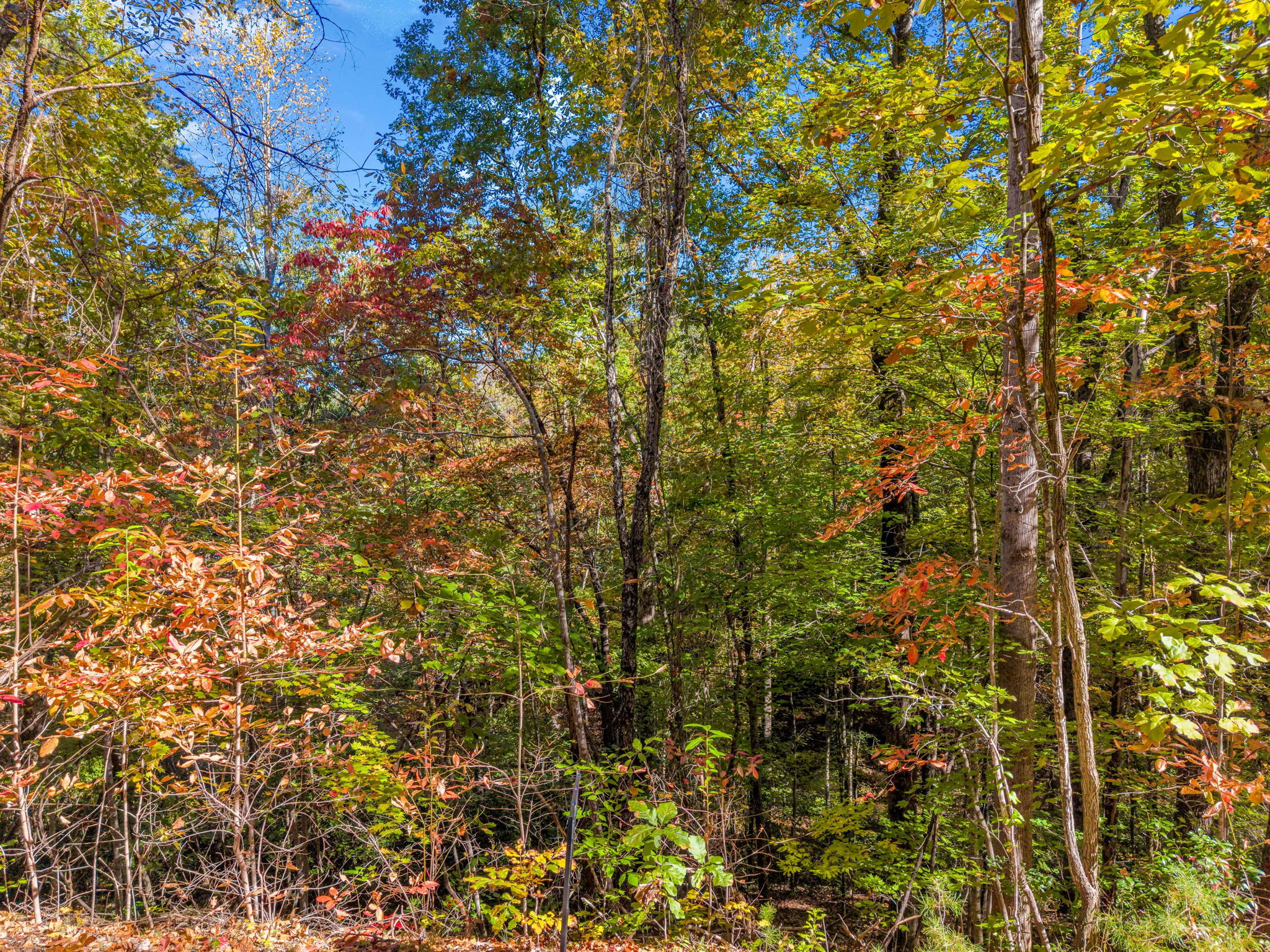 0 Raleigh Dr Lake Lure, NC-13