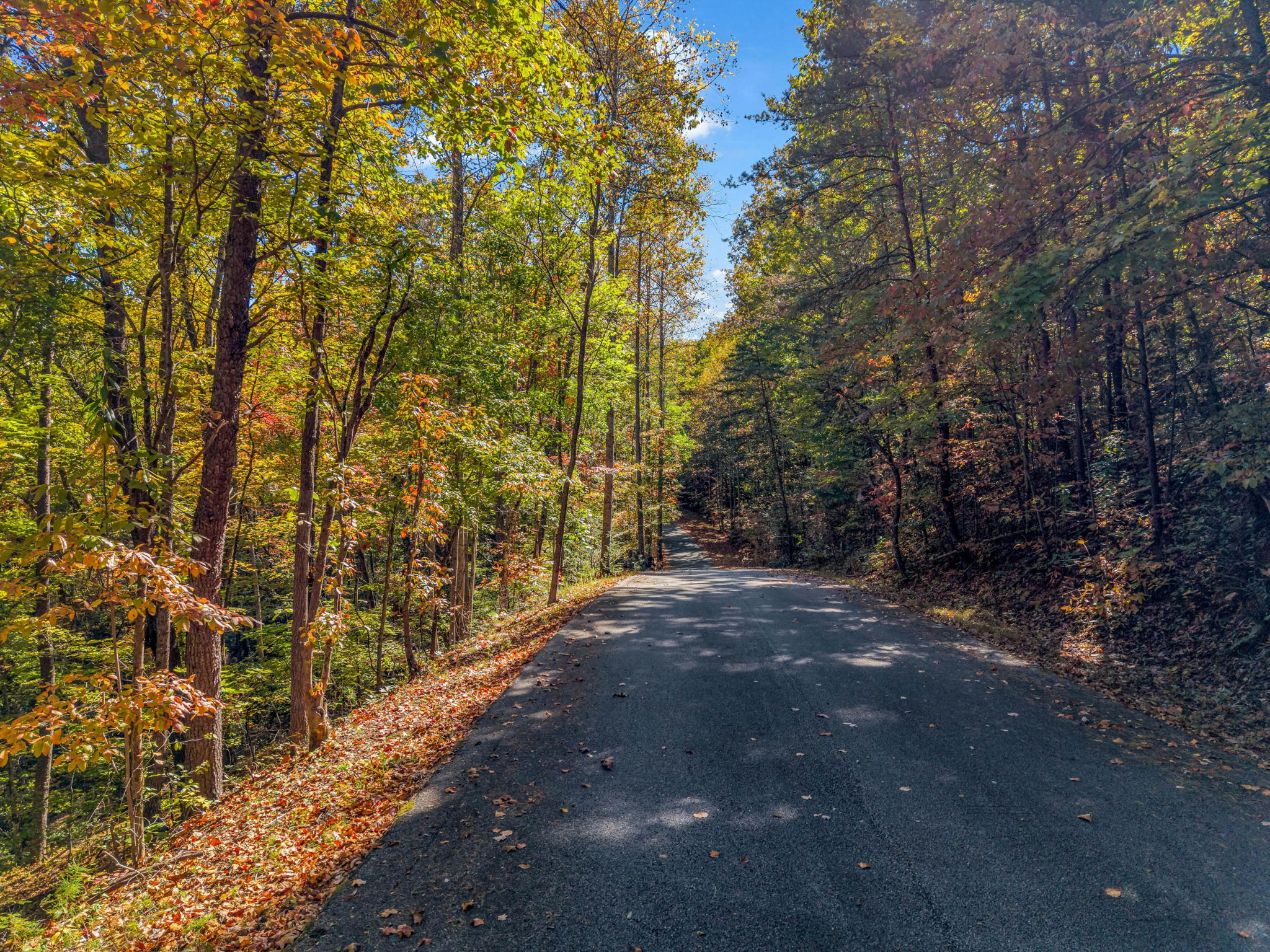 0 Raleigh Dr Lake Lure, NC-14