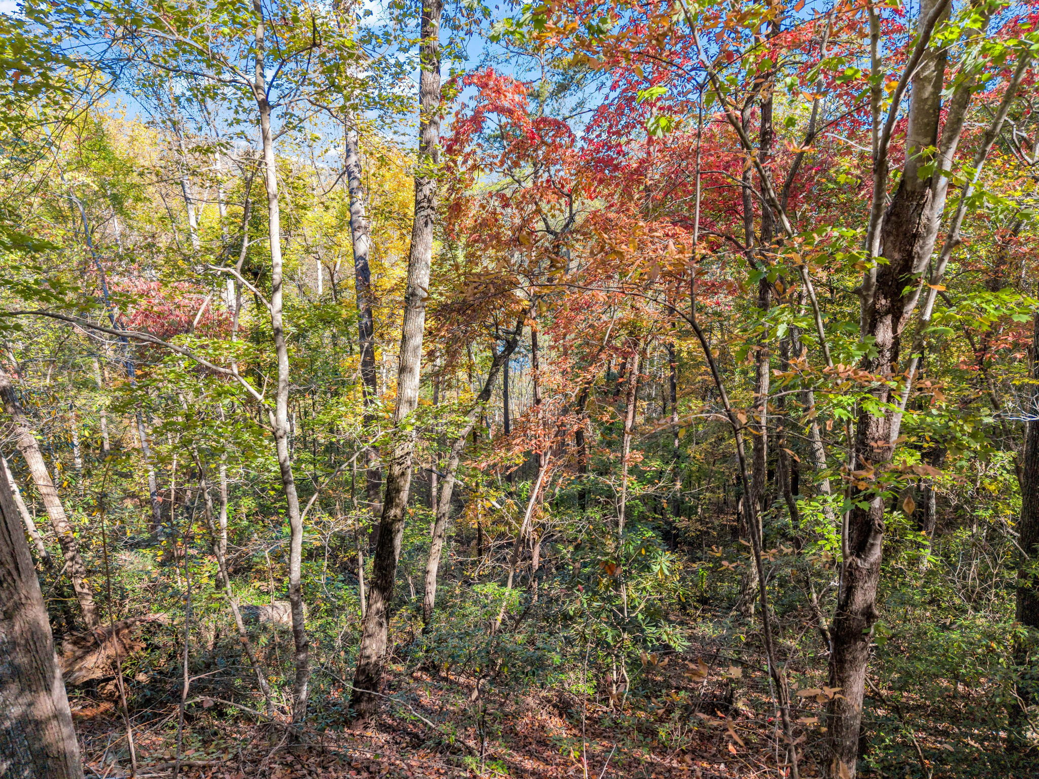 0 Raleigh Dr Lake Lure, NC-09