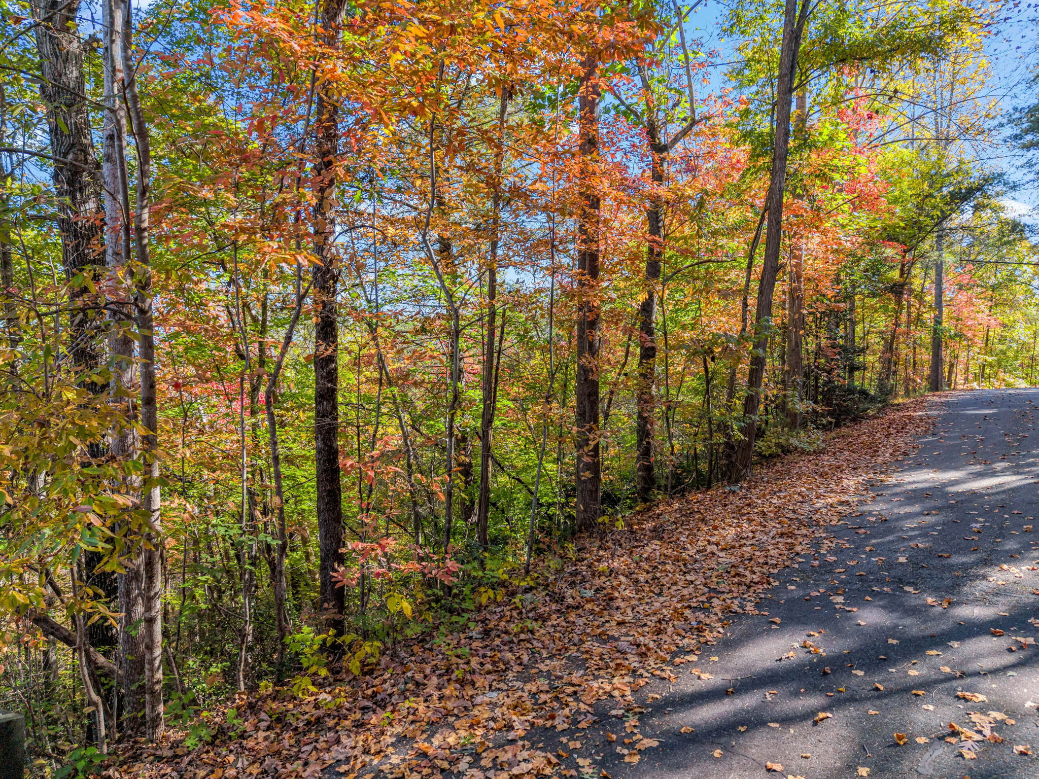 0 Raleigh Dr Lake Lure, NC-05