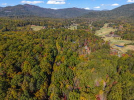0 Raleigh Dr Lake Lure, NC-21