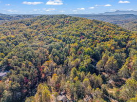 0 Raleigh Dr Lake Lure, NC-15