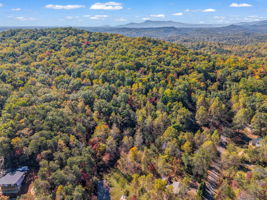 0 Raleigh Dr Lake Lure, NC-16
