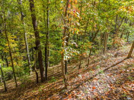 0 Raleigh Dr Lake Lure, NC-11