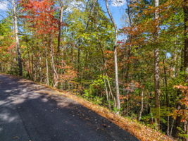 0 Raleigh Dr Lake Lure, NC-12