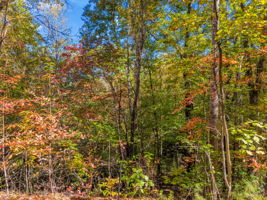 0 Raleigh Dr Lake Lure, NC-13