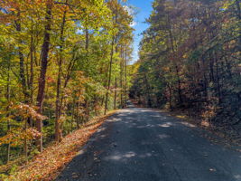 0 Raleigh Dr Lake Lure, NC-14