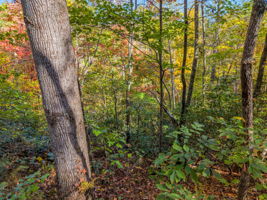 0 Raleigh Dr Lake Lure, NC-08