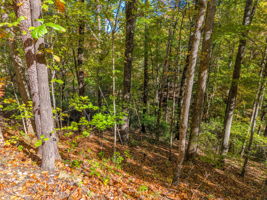 0 Raleigh Dr Lake Lure, NC-10