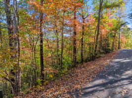0 Raleigh Dr Lake Lure, NC-05