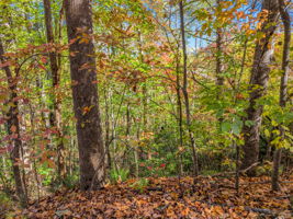 0 Raleigh Dr Lake Lure, NC-06