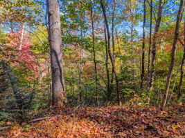 0 Raleigh Dr Lake Lure, NC-07