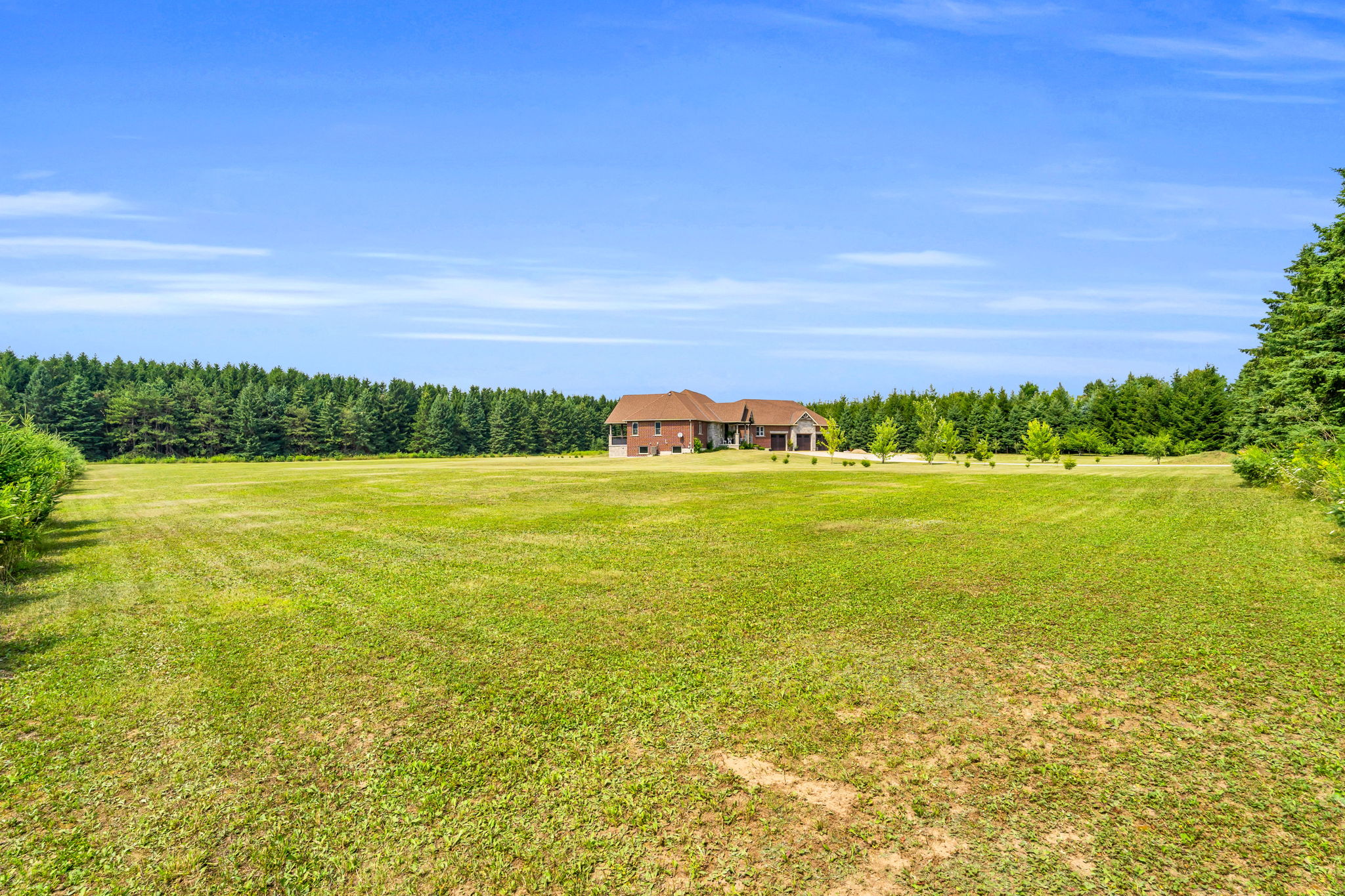 Front Yard
