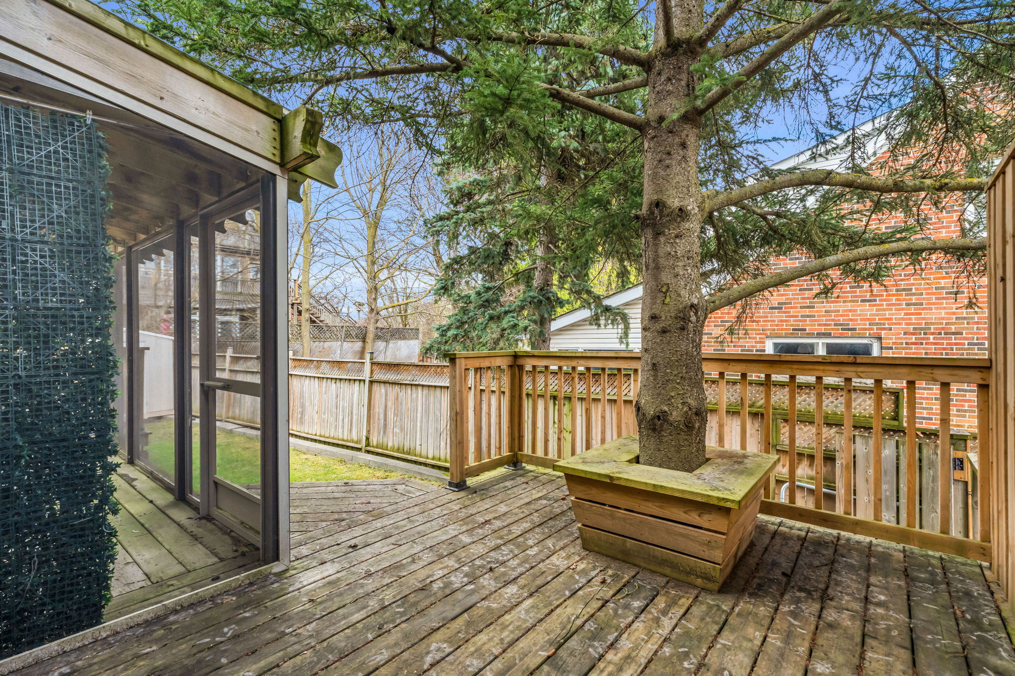 Backyard