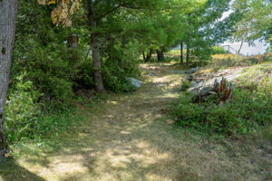  Photo 100