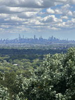 View of NYC from swimming pool!