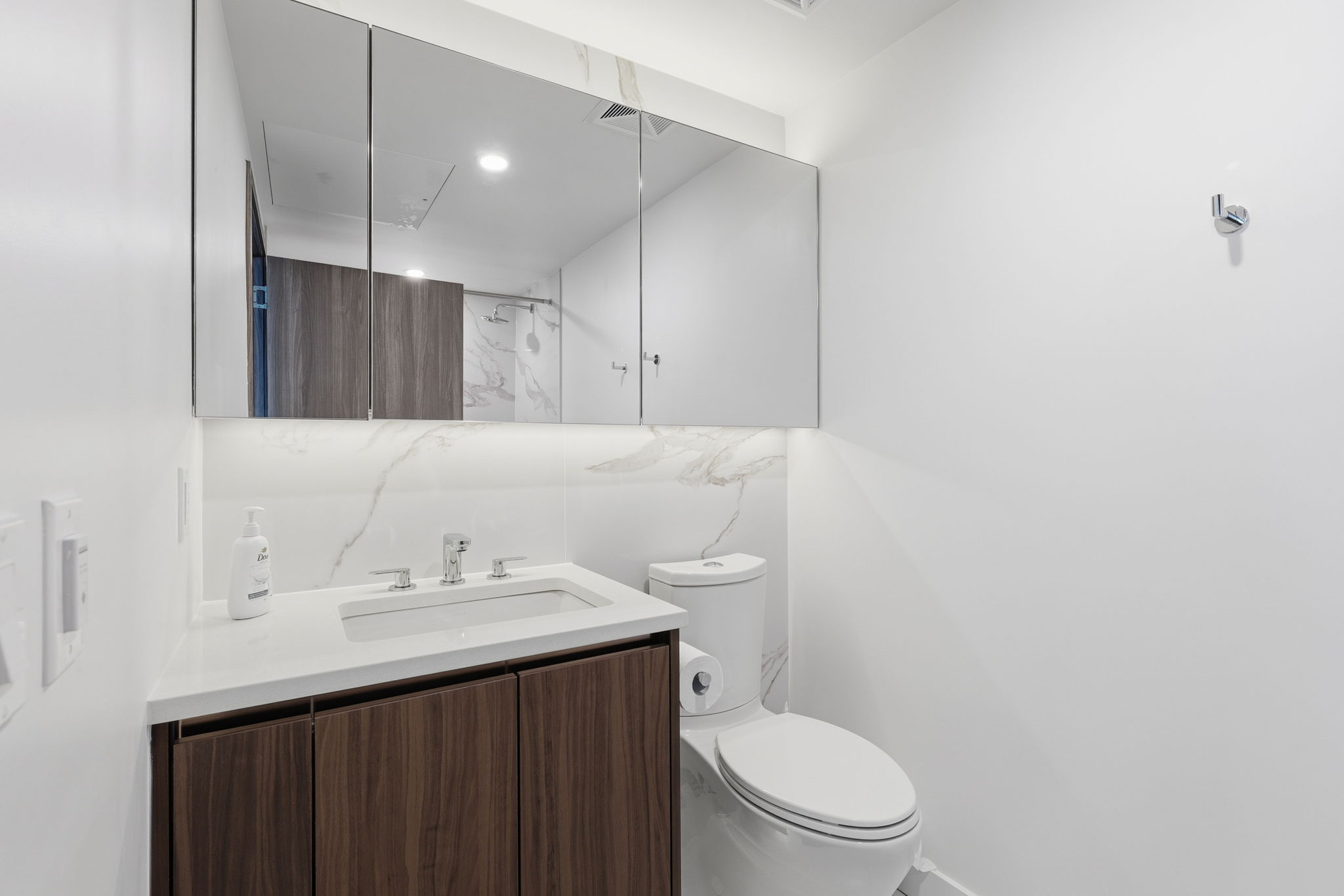 Toronto property showcase — delivered property photograph 16