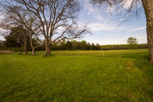  Photo 36