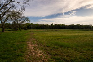  Photo 37