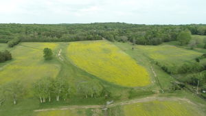  Photo 49