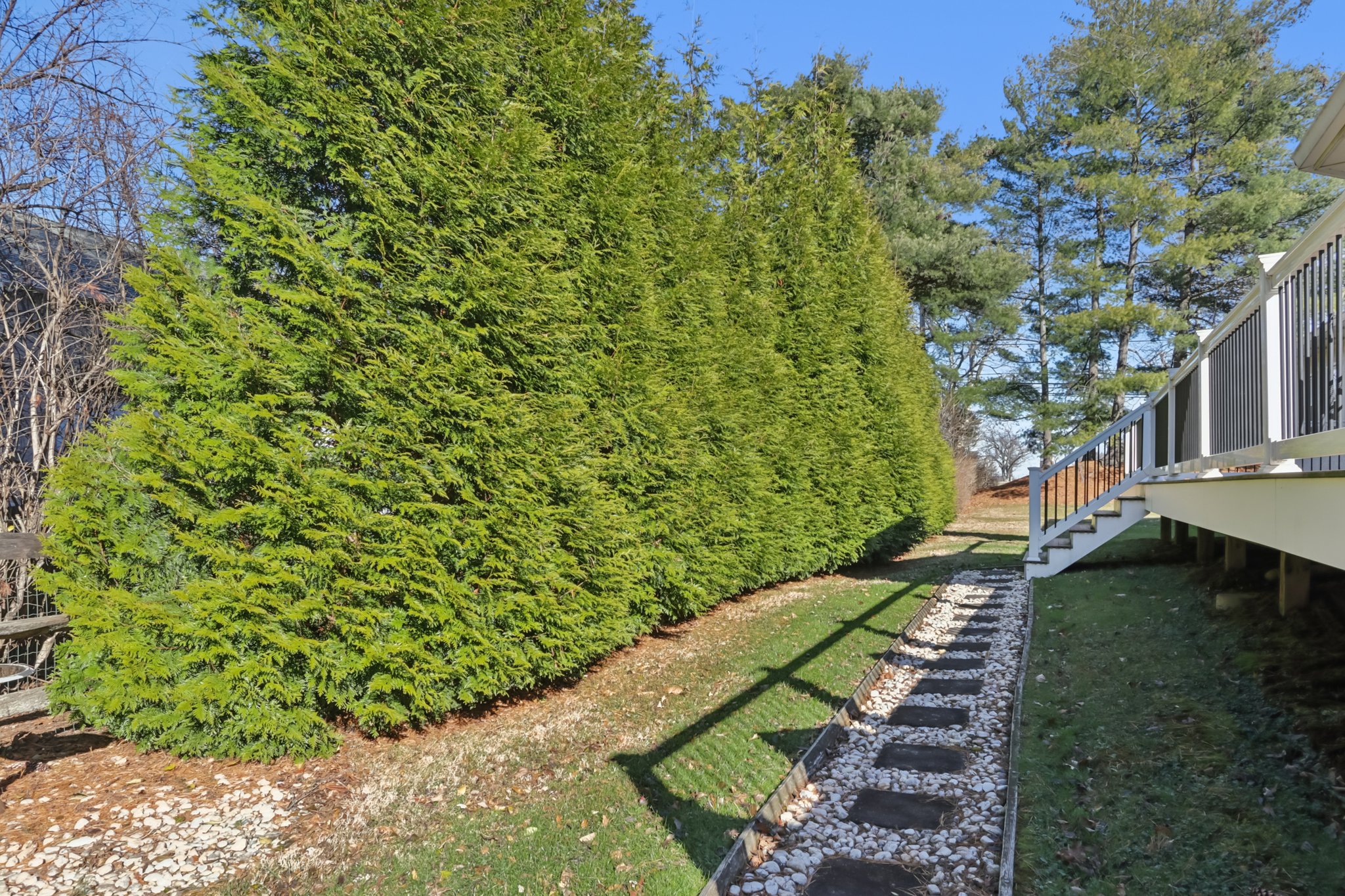 Daisy Ln-S0412-068.jpg