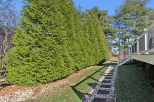 Daisy Ln-S0412-068.jpg