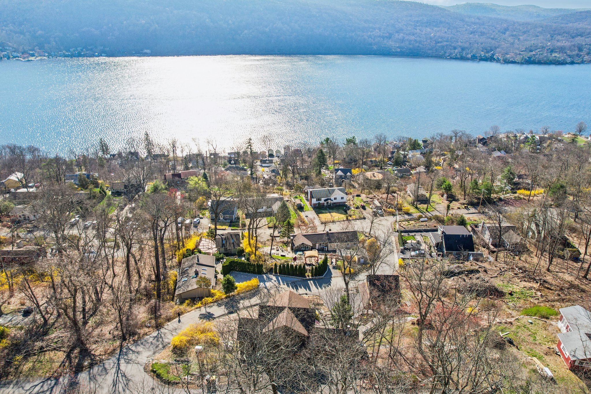 Deer Trl-S1004-068.jpg