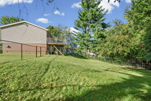  Photo 31