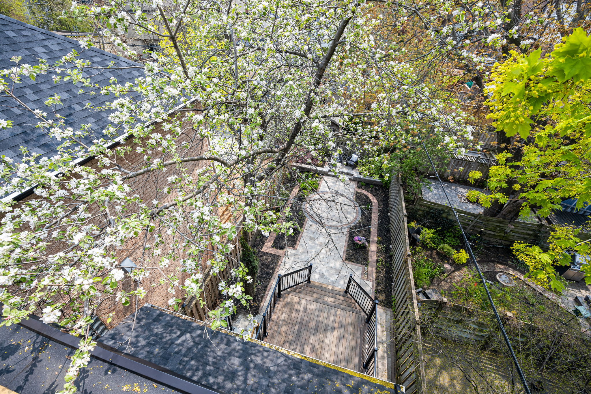 Toronto property showcase — delivered property photograph 20