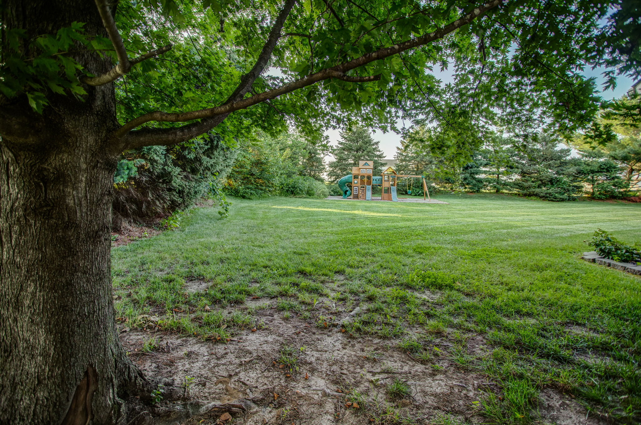  Photo 58
