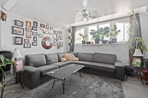  Photo 31