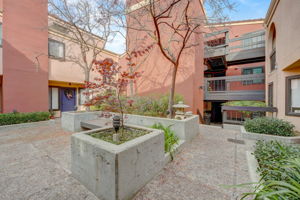 Laurel St-004