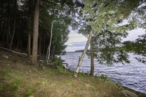 Photo 49