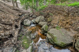  Photo 34