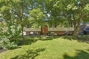  Photo 0