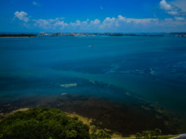 21-Water View