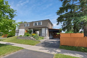  Photo 0