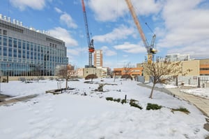 Spring St-1302-917.jpg