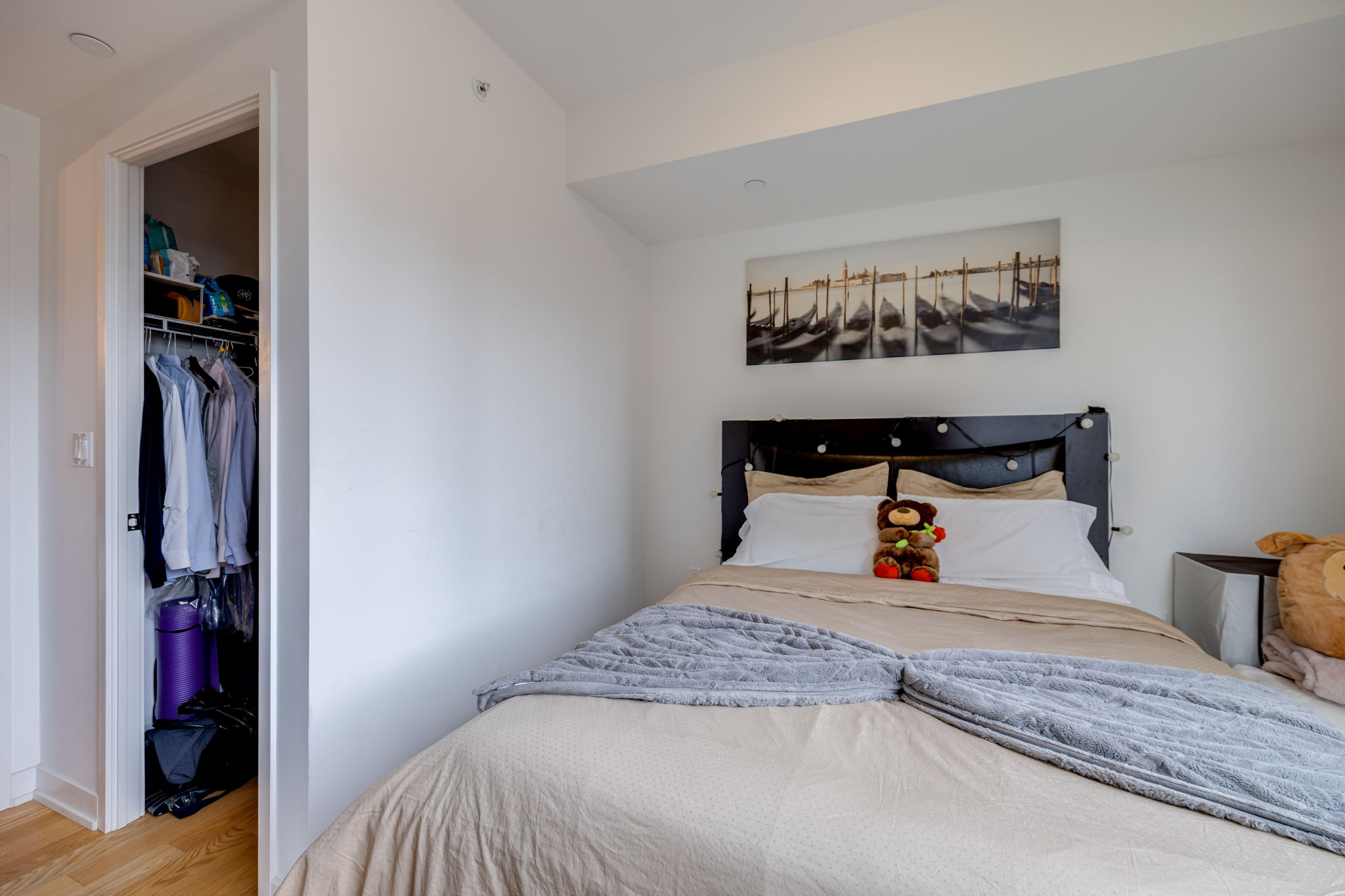 Toronto property showcase — delivered property photograph 16