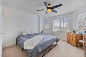  Photo 47
