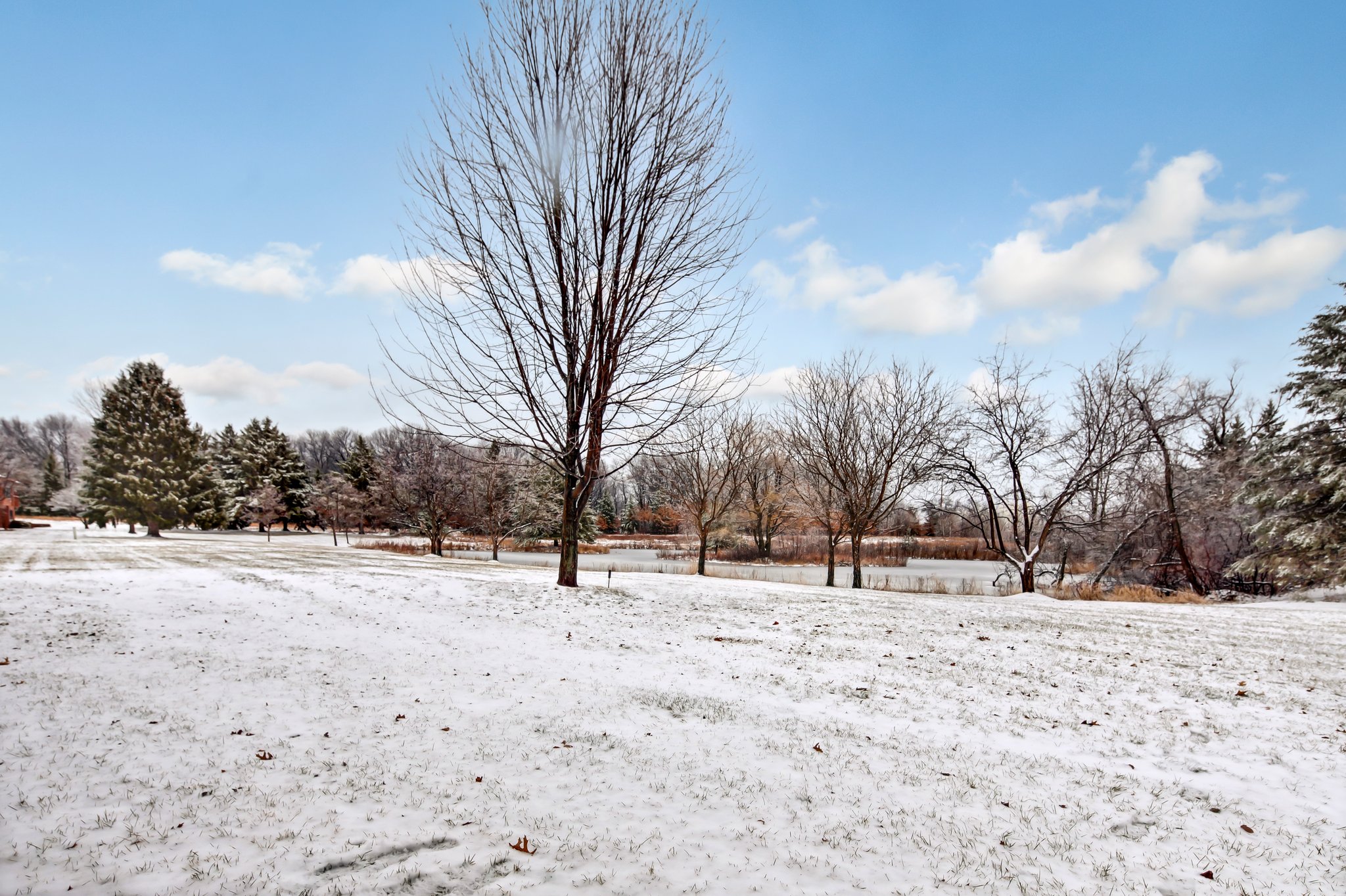 10 Anemone Cir, North Oaks, MN 55127, USA Photo 5