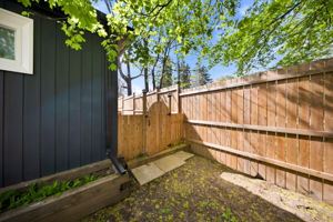  Photo 50