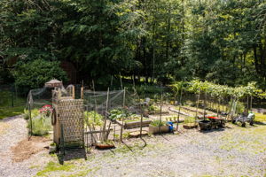  Photo 38