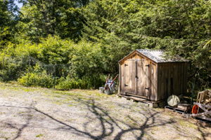  Photo 39