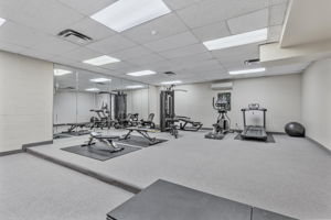  Photo 49