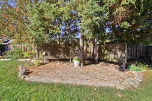  Photo 49