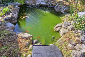  Photo 52