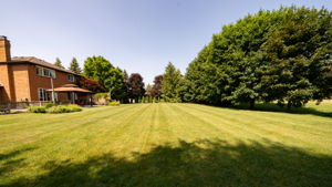  Photo 49