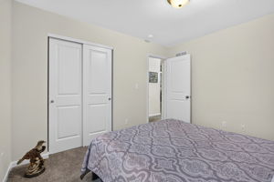  Photo 42