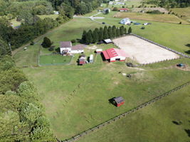  Photo 47